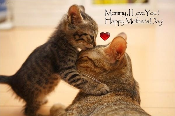Mommy, I love you! Happy Mother's Day! Picture Quote #1