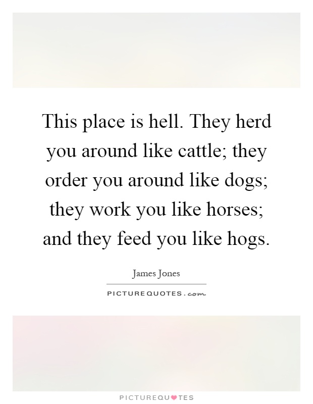 This place is hell. They herd you around like cattle; they order you around like dogs; they work you like horses; and they feed you like hogs Picture Quote #1