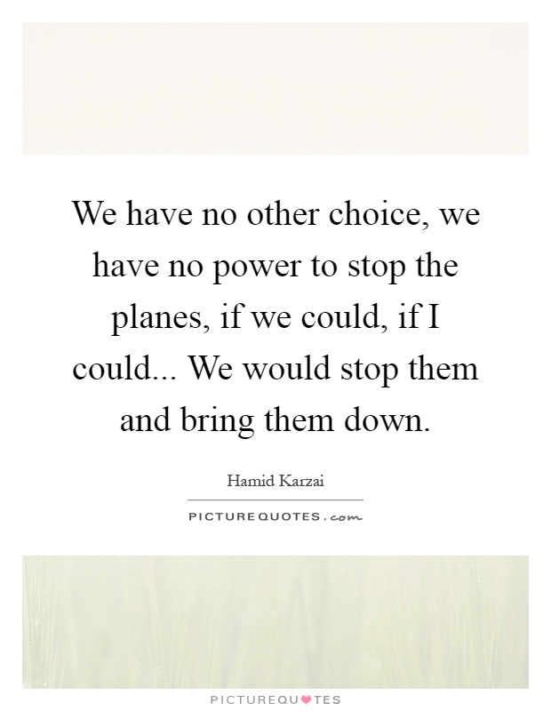 We have no other choice, we have no power to stop the planes, if we could, if I could... We would stop them and bring them down Picture Quote #1