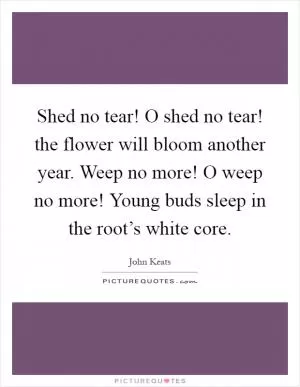 Shed no tear! O shed no tear! the flower will bloom another year. Weep no more! O weep no more! Young buds sleep in the root’s white core Picture Quote #1