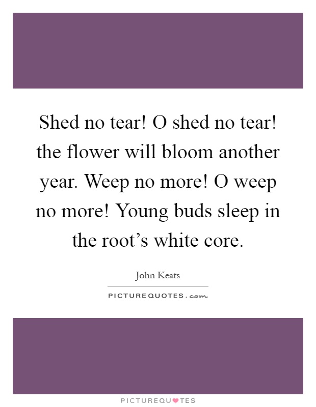 Shed no tear! O shed no tear! the flower will bloom another year. Weep no more! O weep no more! Young buds sleep in the root's white core Picture Quote #1
