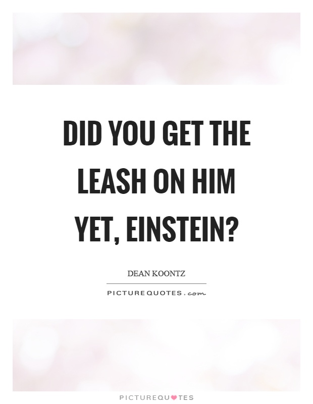 Did you get the leash on him yet, einstein? Picture Quote #1
