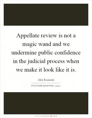 Appellate review is not a magic wand and we undermine public confidence in the judicial process when we make it look like it is Picture Quote #1