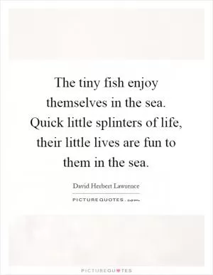 The tiny fish enjoy themselves in the sea. Quick little splinters of life, their little lives are fun to them in the sea Picture Quote #1