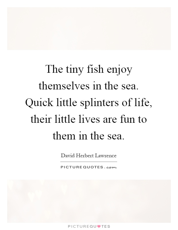 The tiny fish enjoy themselves in the sea. Quick little splinters of life, their little lives are fun to them in the sea Picture Quote #1
