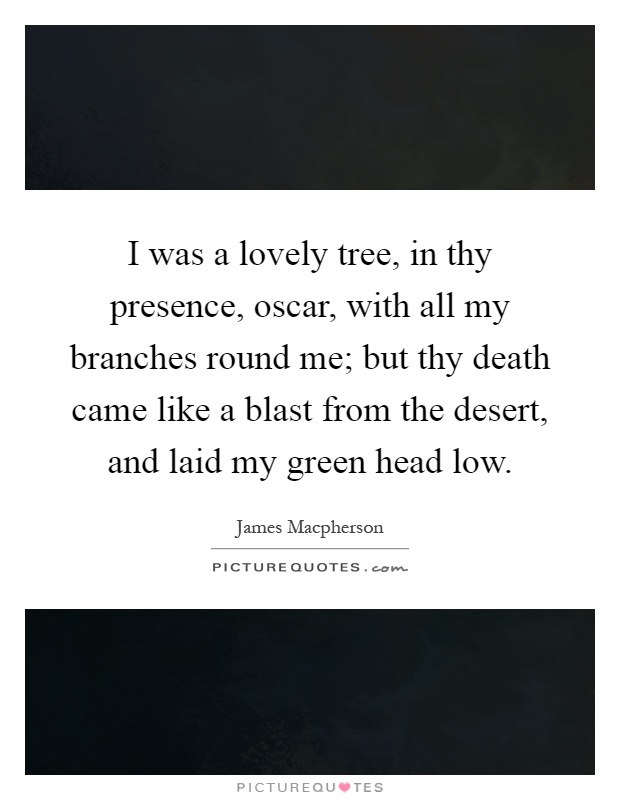 I was a lovely tree, in thy presence, oscar, with all my branches round me; but thy death came like a blast from the desert, and laid my green head low Picture Quote #1