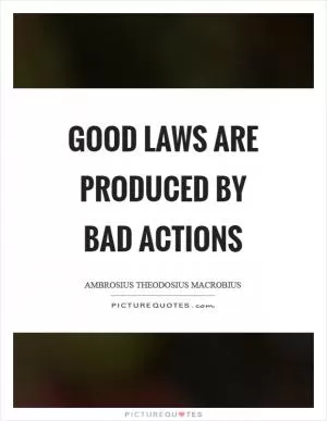 Good laws are produced by bad actions Picture Quote #1