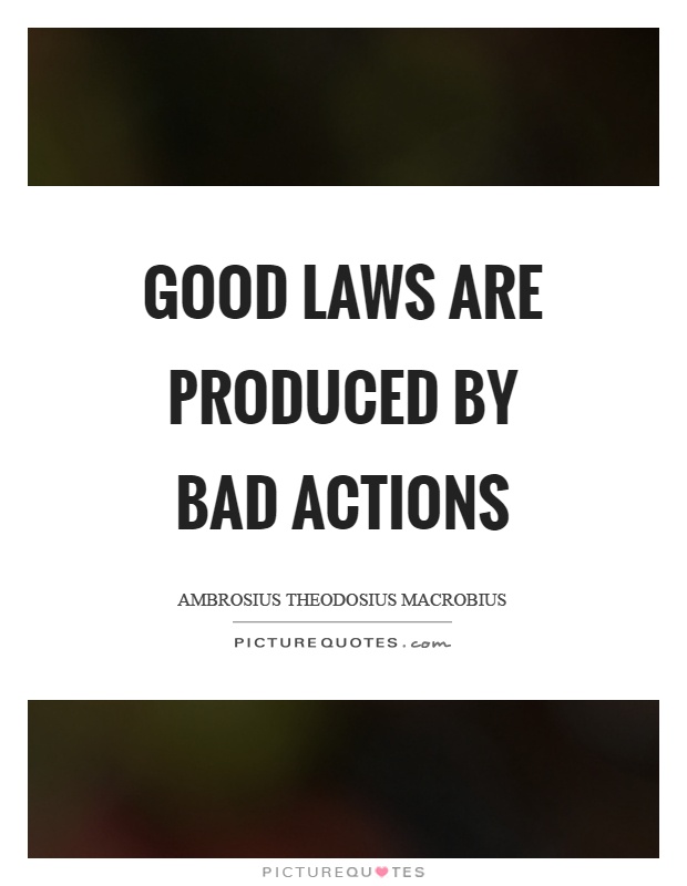 Good laws are produced by bad actions Picture Quote #1