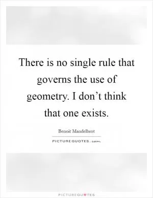 There is no single rule that governs the use of geometry. I don’t think that one exists Picture Quote #1
