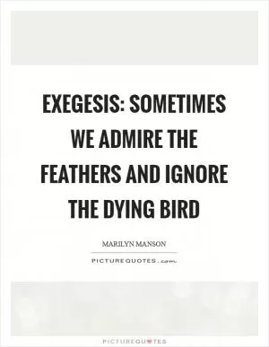 Exegesis: sometimes we admire the feathers and ignore the dying bird Picture Quote #1