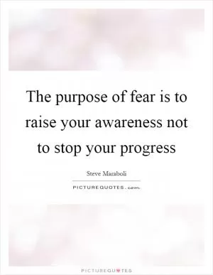 The purpose of fear is to raise your awareness not to stop your progress Picture Quote #1