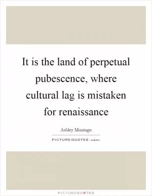 It is the land of perpetual pubescence, where cultural lag is mistaken for renaissance Picture Quote #1