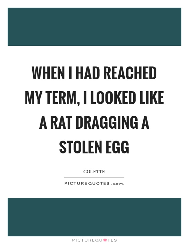 When I had reached my term, I looked like a rat dragging a stolen egg Picture Quote #1