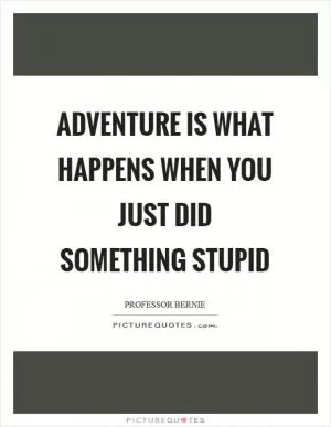 Adventure is what happens when you just did something stupid Picture Quote #1