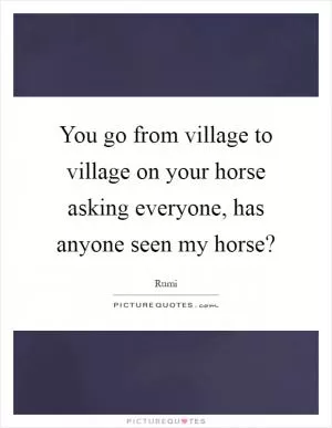 You go from village to village on your horse asking everyone, has anyone seen my horse? Picture Quote #1