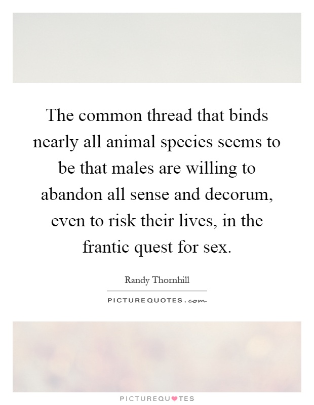 The common thread that binds nearly all animal species seems to be that males are willing to abandon all sense and decorum, even to risk their lives, in the frantic quest for sex Picture Quote #1