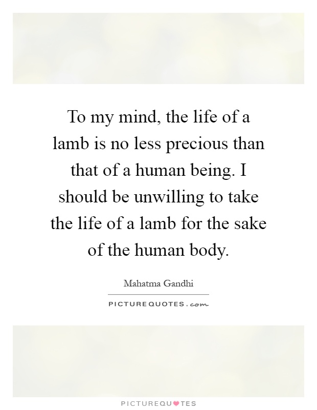 To my mind, the life of a lamb is no less precious than that of a human being. I should be unwilling to take the life of a lamb for the sake of the human body Picture Quote #1