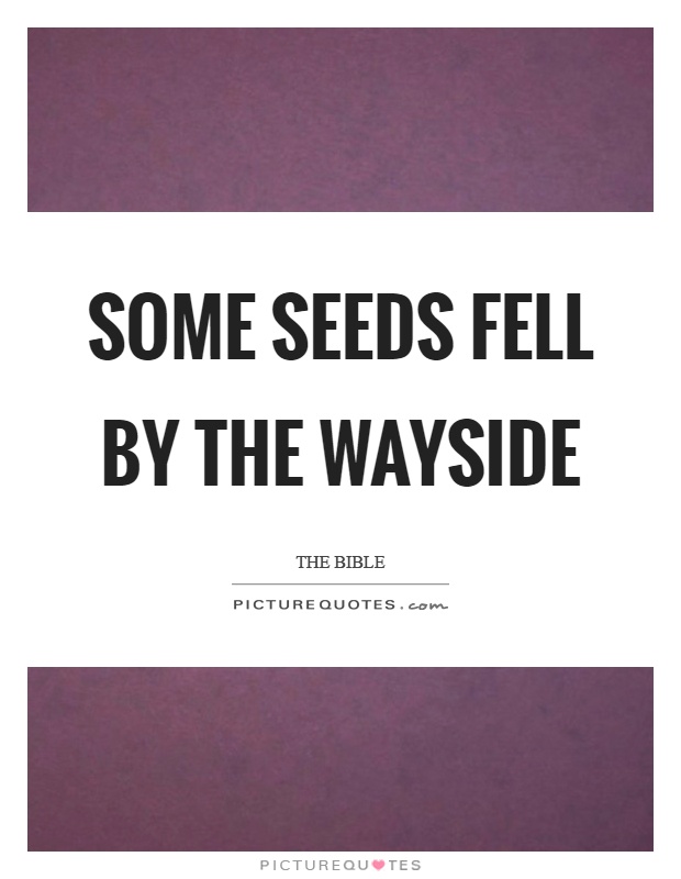 Some seeds fell by the wayside Picture Quote #1