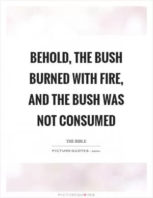 Behold, the bush burned with fire, and the bush was not consumed Picture Quote #1