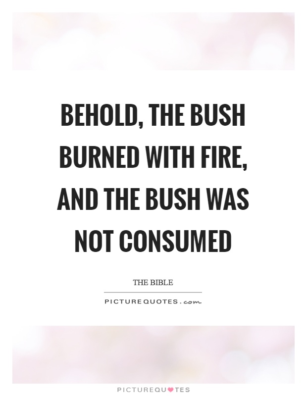 Behold, the bush burned with fire, and the bush was not consumed Picture Quote #1