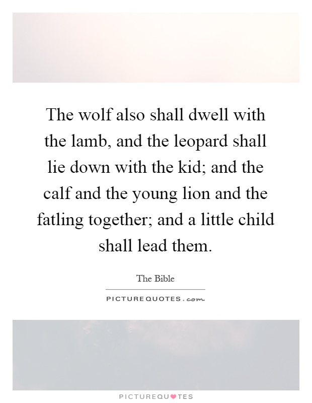 The wolf also shall dwell with the lamb, and the leopard shall lie down with the kid; and the calf and the young lion and the fatling together; and a little child shall lead them Picture Quote #1