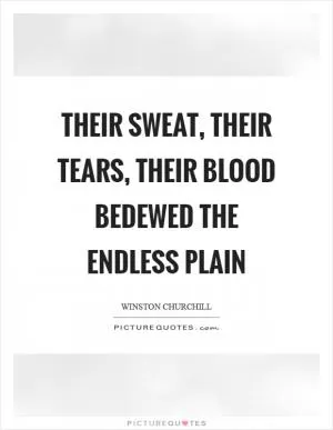 Their sweat, their tears, their blood bedewed the endless plain Picture Quote #1