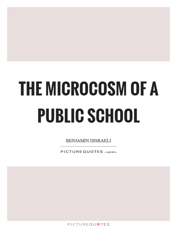 The microcosm of a public school Picture Quote #1