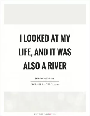 I looked at my life, and it was also a river Picture Quote #1