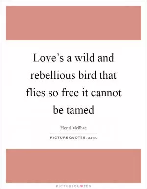 Love’s a wild and rebellious bird that flies so free it cannot be tamed Picture Quote #1
