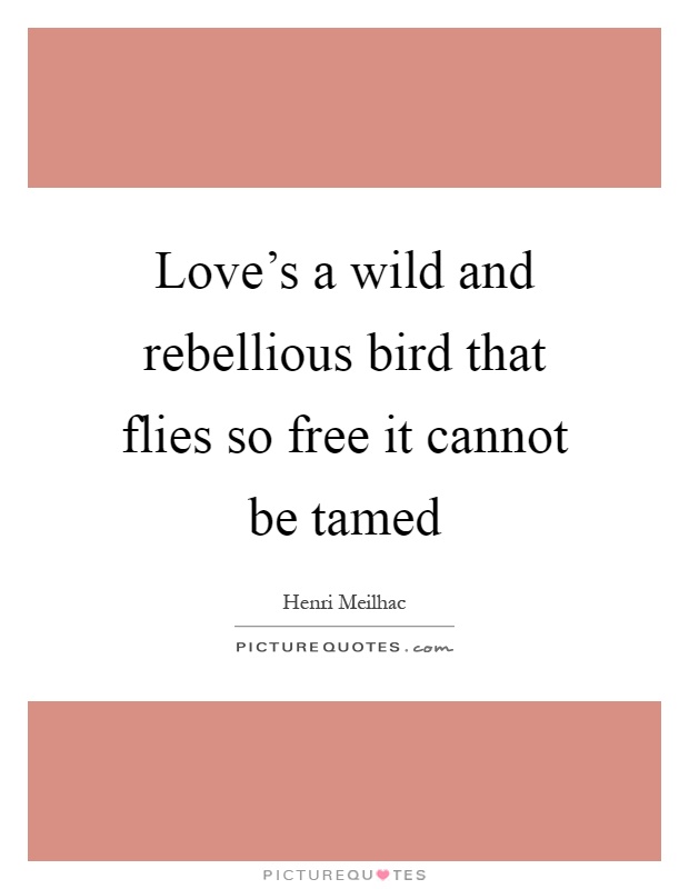 Love's a wild and rebellious bird that flies so free it cannot be tamed Picture Quote #1
