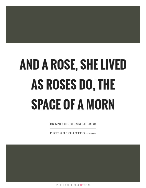 And a rose, she lived as roses do, the space of a morn Picture Quote #1