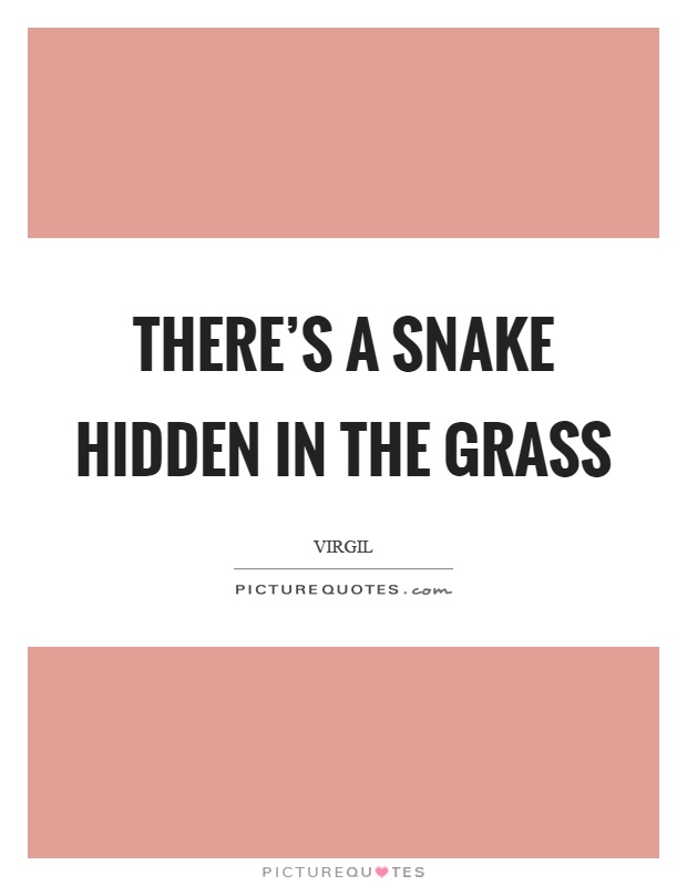There's a snake hidden in the grass Picture Quote #1