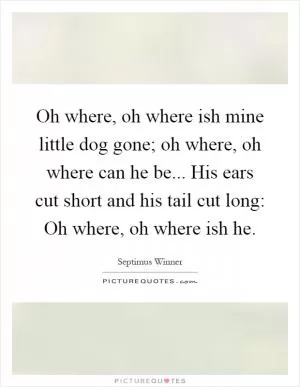 Oh where, oh where ish mine little dog gone; oh where, oh where can he be... His ears cut short and his tail cut long: Oh where, oh where ish he Picture Quote #1