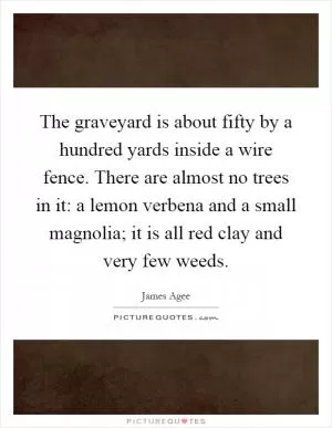 The graveyard is about fifty by a hundred yards inside a wire fence. There are almost no trees in it: a lemon verbena and a small magnolia; it is all red clay and very few weeds Picture Quote #1