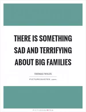There is something sad and terrifying about big families Picture Quote #1
