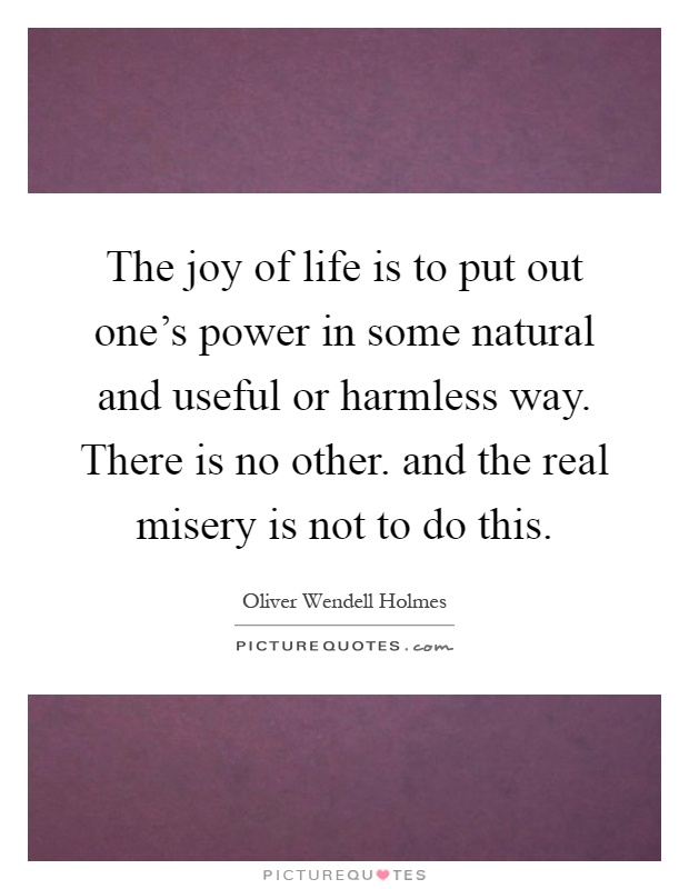 The joy of life is to put out one's power in some natural and useful or harmless way. There is no other. and the real misery is not to do this Picture Quote #1