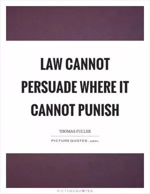 Law cannot persuade where it cannot punish Picture Quote #1