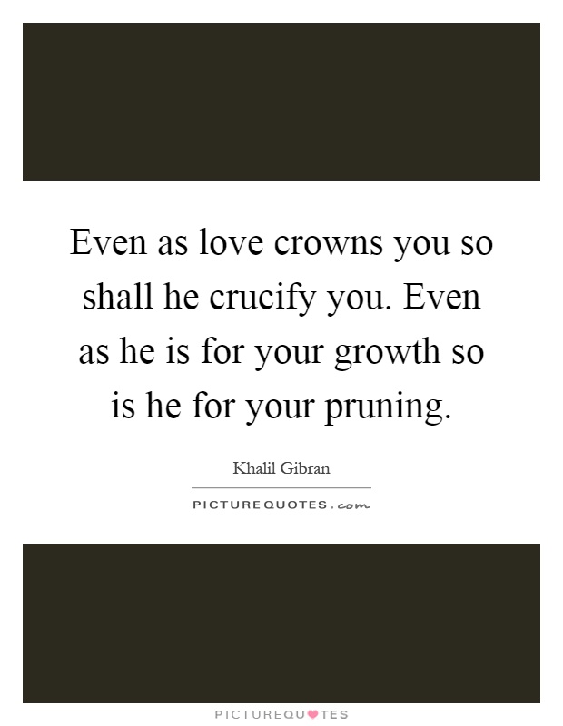 Even as love crowns you so shall he crucify you. Even as he is for your growth so is he for your pruning Picture Quote #1
