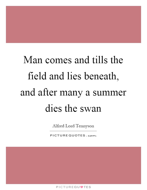 Man comes and tills the field and lies beneath, and after many a summer dies the swan Picture Quote #1