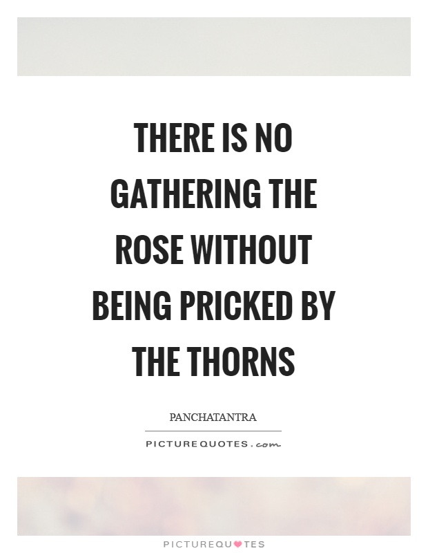 There is no gathering the rose without being pricked by the thorns Picture Quote #1