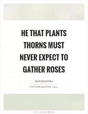 He that plants thorns must never expect to gather roses Picture Quote #1