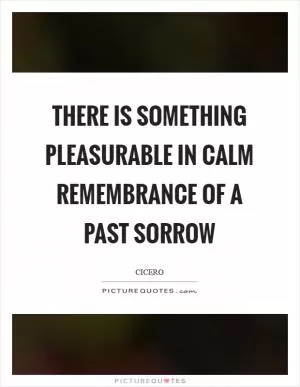 There is something pleasurable in calm remembrance of a past sorrow Picture Quote #1