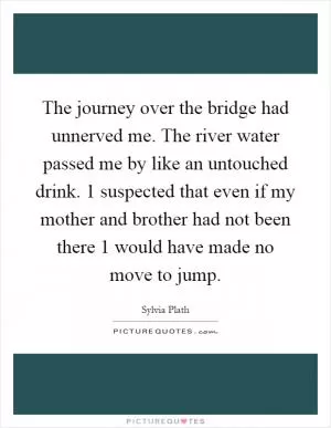 The journey over the bridge had unnerved me. The river water passed me by like an untouched drink. 1 suspected that even if my mother and brother had not been there 1 would have made no move to jump Picture Quote #1