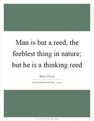 Man is but a reed, the feeblest thing in nature; but he is a thinking reed Picture Quote #1