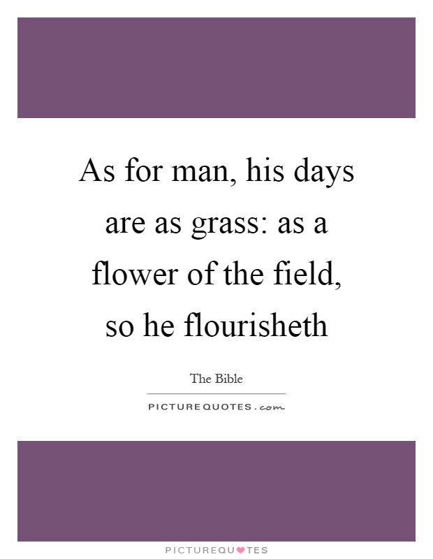 As for man, his days are as grass: as a flower of the field, so he flourisheth Picture Quote #1