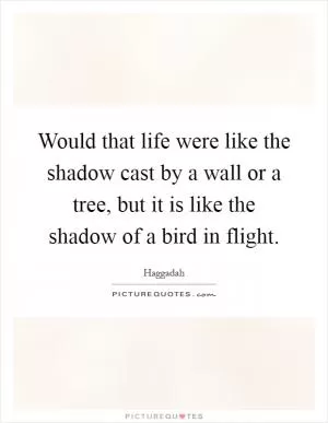 Would that life were like the shadow cast by a wall or a tree, but it is like the shadow of a bird in flight Picture Quote #1