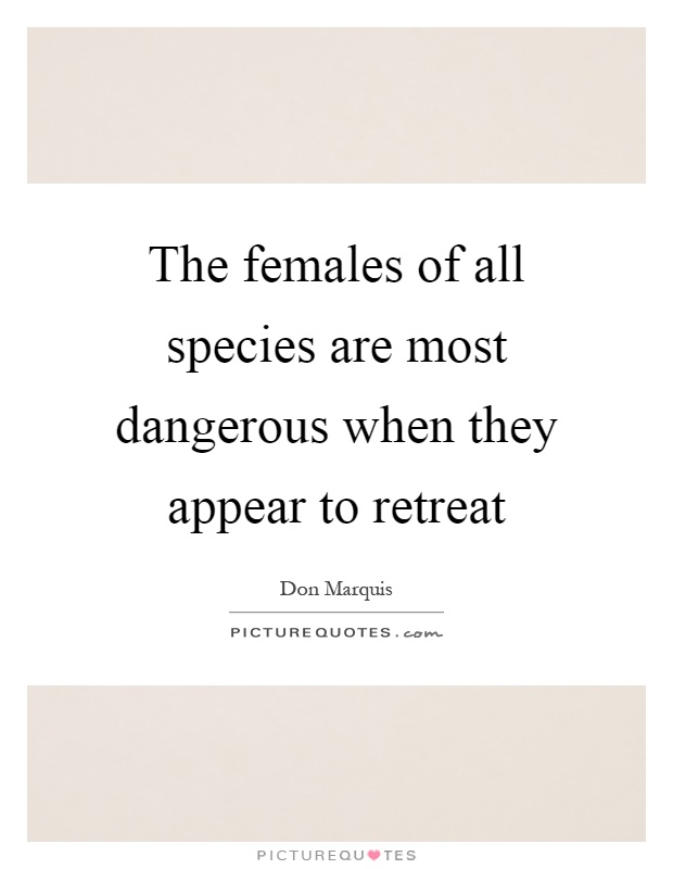 The females of all species are most dangerous when they appear to retreat Picture Quote #1