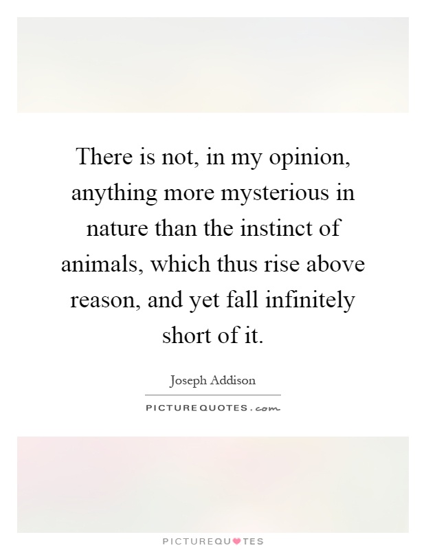 There is not, in my opinion, anything more mysterious in nature than the instinct of animals, which thus rise above reason, and yet fall infinitely short of it Picture Quote #1