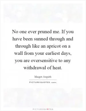 No one ever pruned me. If you have been sunned through and through like an apricot on a wall from your earliest days, you are oversensitive to any withdrawal of heat Picture Quote #1