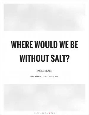 Where would we be without salt? Picture Quote #1